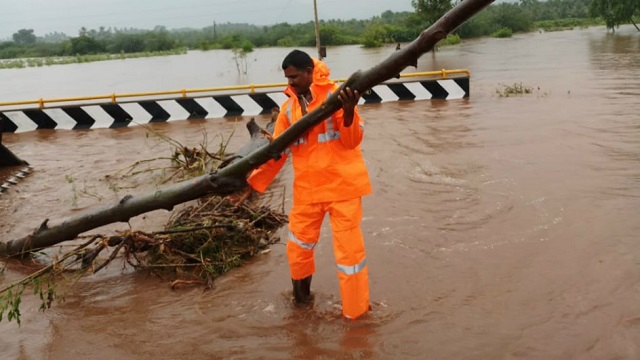 Image result for gaja flood