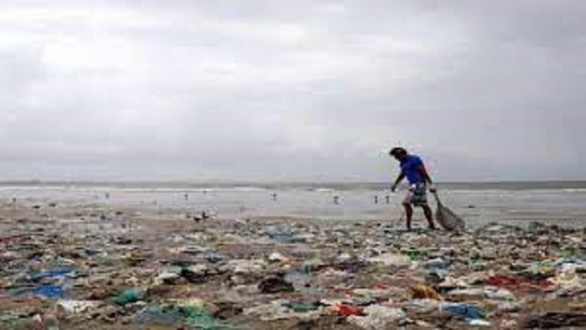 https://www.chennaionline.com/wp-content/uploads/2022/03/Adverse-environmental-impacts-of-plastic-shopping-bags-1200x675.jpg