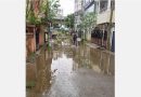 Persistent Rainwater Stagnation and Infrastructure Issues in Velachery and Mugalivakkam