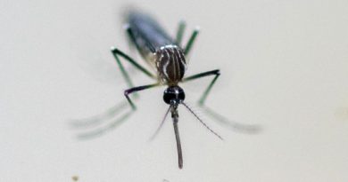 Tamil Nadu Battles Dengue Surge with Comprehensive Control Measures