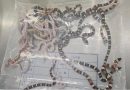Man Caught Smuggling Over 100 Live Snakes in Trousers