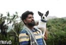 Alangu Movie Stills