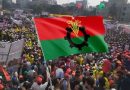 Bangladesh: BNP Fears Intentional Delay of Parliamentary Elections by Yunus