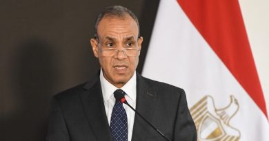 Egyptian Foreign Minister Discusses US-Iran Talks with Omani, Iranian Counterparts and US Envoy