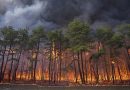 “New Jersey Declares State of Emergency and Orders Evacuations Due to Wildfire”