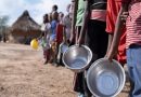 “South Africa Urges Global Cooperation to Tackle Food Insecurity”