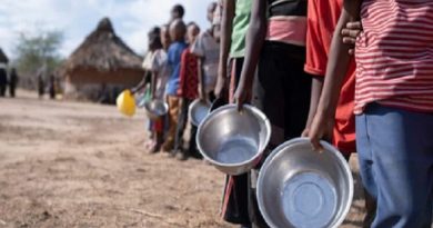 “South Africa Urges Global Cooperation to Tackle Food Insecurity”