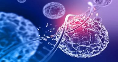 Stem cell therapy proves safe and effective for treating Parkinson’s disease