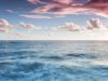 Study finds extreme marine heatwaves have tripled in last 80 years