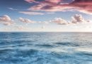 Study finds extreme marine heatwaves have tripled in last 80 years