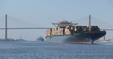 Suez Canal Sees Improvement in Navigation Traffic in March, Says Canal Chief